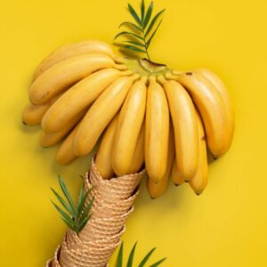 Fresh Premium Bananas (A-Grade / Cavendish)