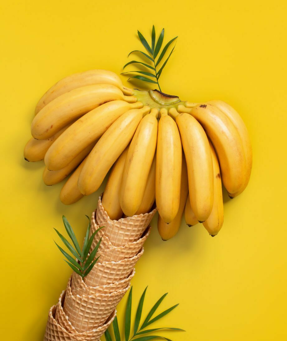 AdobeStock_250192940-scaled-e1654883586512