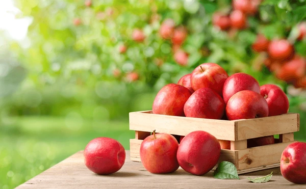 fresh-red-apples-on-wooden-600nw-2503264777