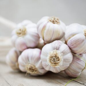 Garlic